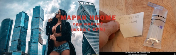 тгк Нея