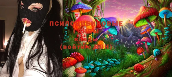 тгк Нея