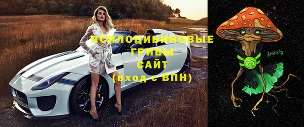 тгк Нея
